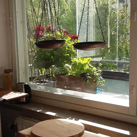 Apartment Garden Street Family